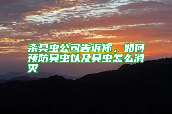 殺臭蟲公司告訴你，如何預防臭蟲以及臭蟲怎么消滅