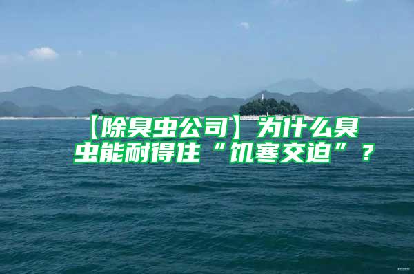 【除臭蟲公司】為什么臭蟲能耐得住“饑寒交迫”?