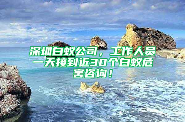 深圳白蟻公司,工作人員一天接到近30個(gè)白蟻危害咨詢!