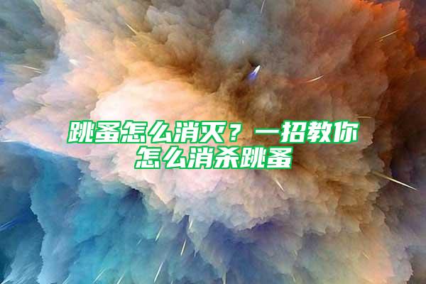 跳蚤怎么消滅?一招教你怎么消殺跳蚤