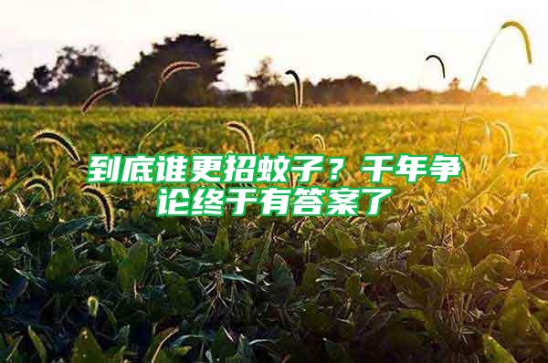 到底誰更招蚊子?千年爭論終于有答案了