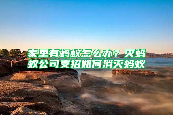 家里有螞蟻怎么辦?滅螞蟻公司支招如何消滅螞蟻