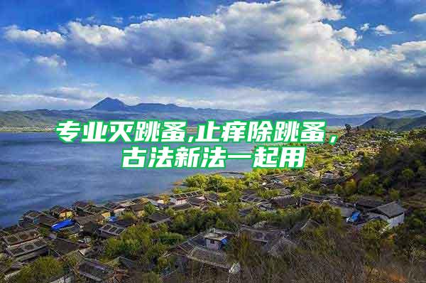 專業滅跳蚤,止癢除跳蚤， 古法新法一起用