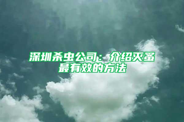 深圳殺蟲公司:介紹滅蚤最有效的方法