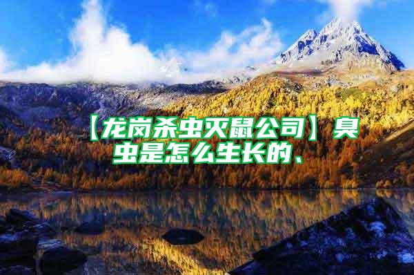 【龍崗殺蟲滅鼠公司】臭蟲是怎么生長(zhǎng)的、