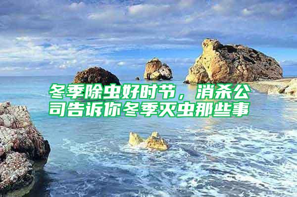 冬季除蟲好時節(jié),消殺公司告訴你冬季滅蟲那些事