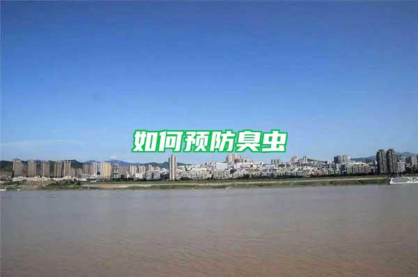如何預(yù)防臭蟲(chóng)