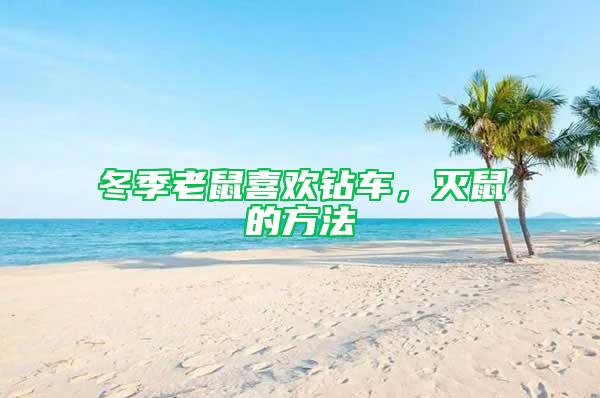 冬季老鼠喜歡鉆車，滅鼠的方法