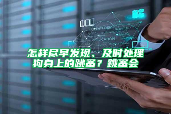 怎樣盡早發現、及時處理狗身上的跳蚤？跳蚤會
