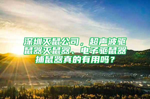 深圳滅鼠公司,超聲波驅鼠器滅鼠器、電子驅鼠器捕鼠器真的有用嗎?
