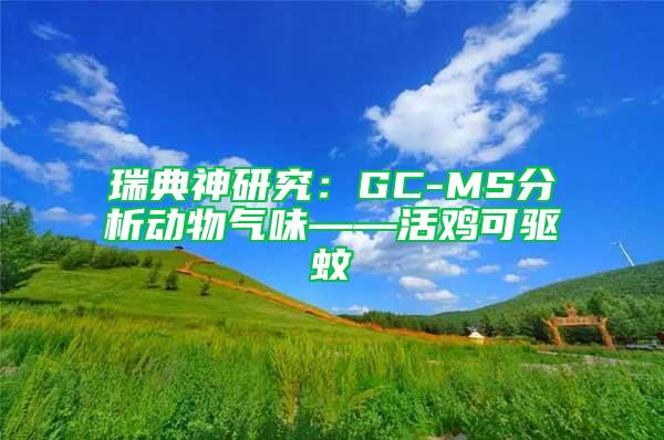 瑞典神研究:GC-MS分析動(dòng)物氣味——活雞可驅(qū)蚊
