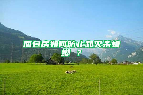面包房如何防止和滅殺蟑螂 ?