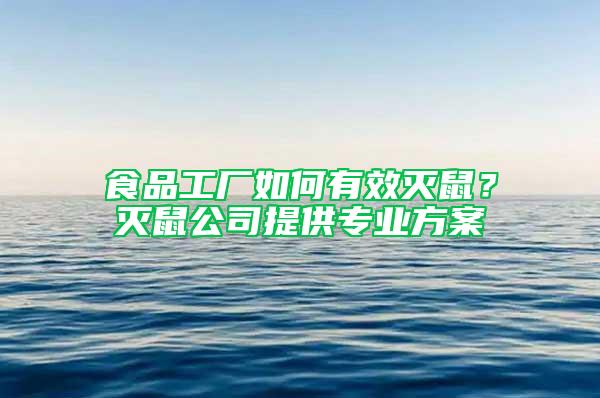 食品工廠如何有效滅鼠?滅鼠公司提供專業方案