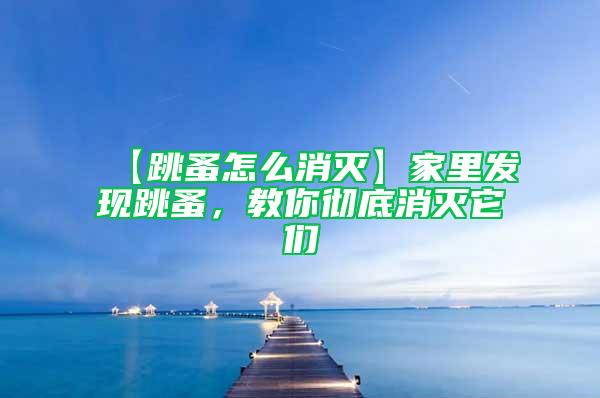 【跳蚤怎么消滅】家里發現跳蚤，教你徹底消滅它們