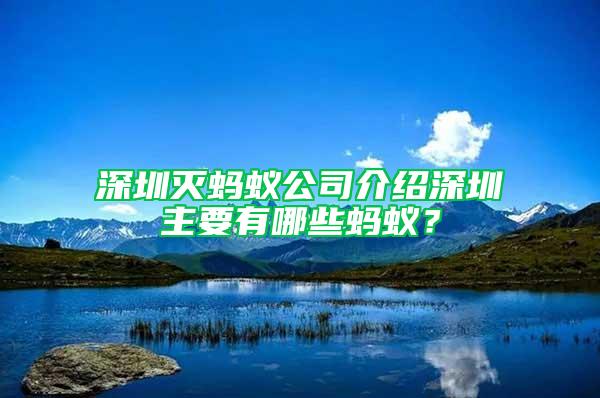 深圳滅螞蟻公司介紹深圳主要有哪些螞蟻?