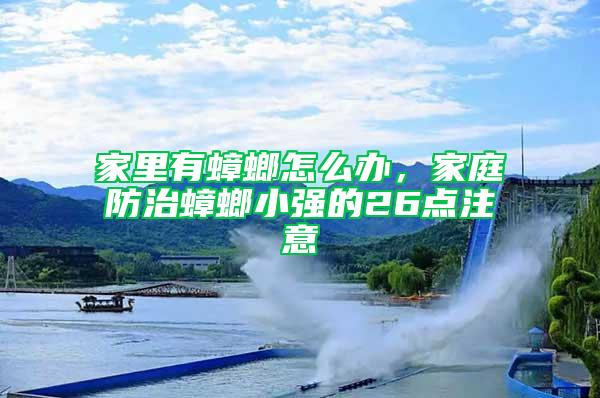 家里有蟑螂怎么辦，家庭防治蟑螂小強的26點注意