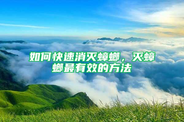 如何快速消滅蟑螂,滅蟑螂最有效的方法