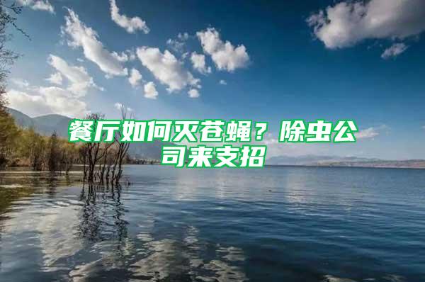 餐廳如何滅蒼蠅?除蟲公司來支招