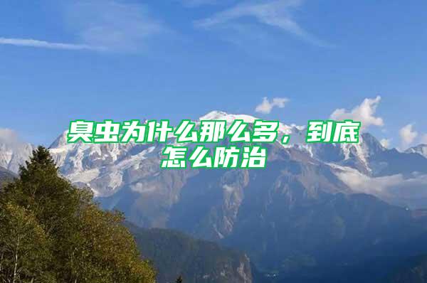 臭蟲為什么那么多,到底怎么防治
