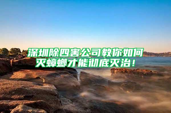 深圳除四害公司教你如何滅蟑螂才能徹底滅治!