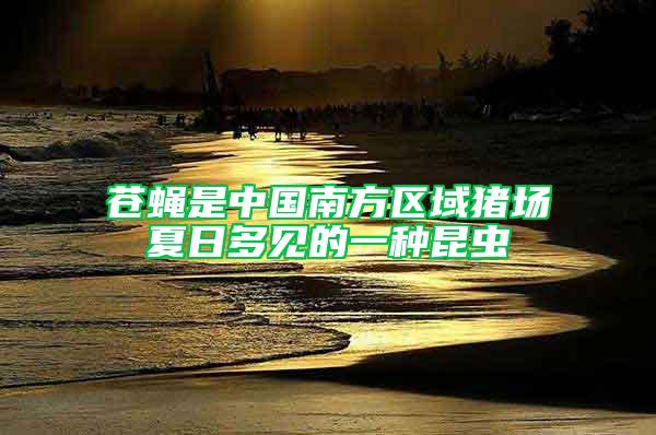 蒼蠅是中國南方區(qū)域豬場夏日多見的一種昆蟲