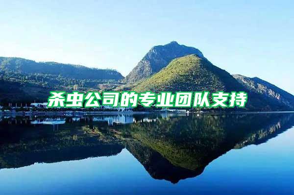 殺蟲(chóng)公司的專業(yè)團(tuán)隊(duì)支持