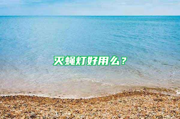 滅蠅燈好用么?