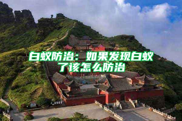 白蟻防治:如果發(fā)現(xiàn)白蟻了該怎么防治