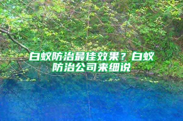 白蟻防治最佳效果?白蟻防治公司來細說