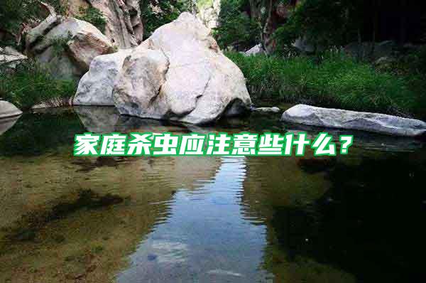 家庭殺蟲應(yīng)注意些什么?