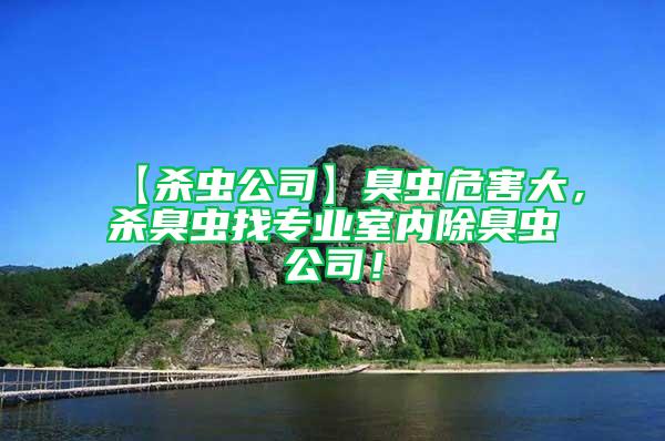【殺蟲公司】臭蟲危害大,殺臭蟲找專業室內除臭蟲公司!