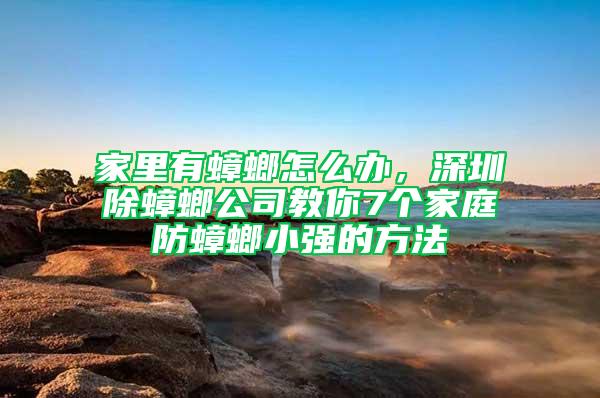 家里有蟑螂怎么辦,深圳除蟑螂公司教你7個家庭防蟑螂小強的方法