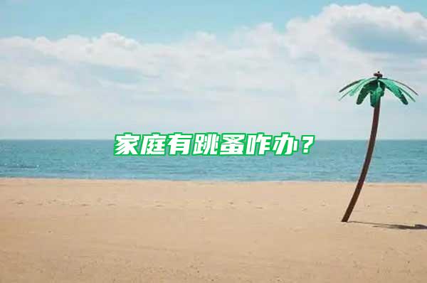 家庭有跳蚤咋辦？