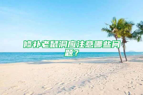 修補老鼠洞應注意哪些問題?
