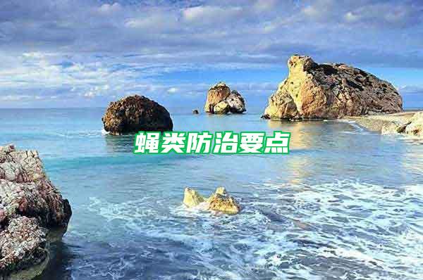 蠅類(lèi)防治要點(diǎn)