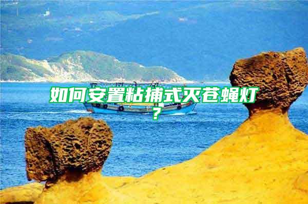 如何安置粘捕式滅蒼蠅燈?