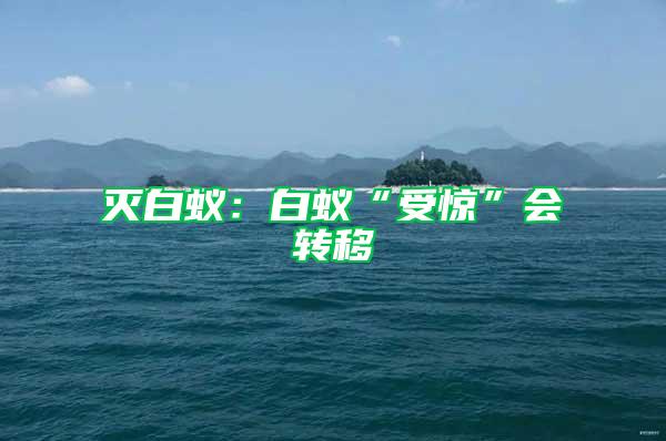 滅白蟻:白蟻“受驚”會轉移