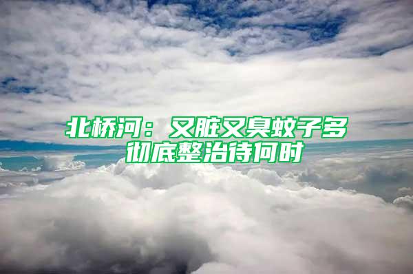 北橋河:又臟又臭蚊子多 徹底整治待何時