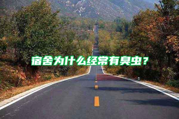 宿舍為什么經(jīng)常有臭蟲？