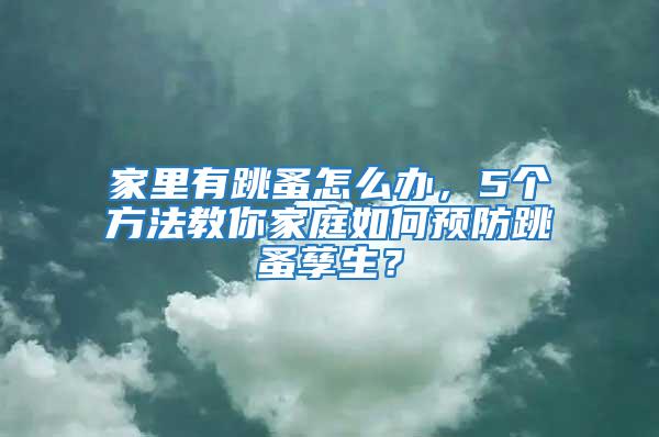 家里有跳蚤怎么辦,5個方法教你家庭如何預防跳蚤孳生?