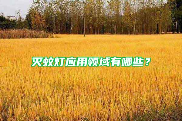 滅蚊燈應用領域有哪些?