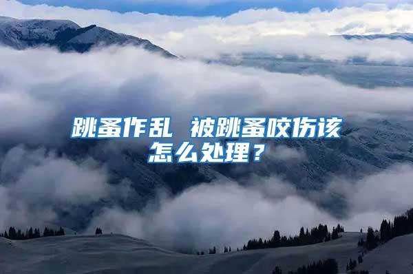 跳蚤作亂 被跳蚤咬傷該怎么處理？
