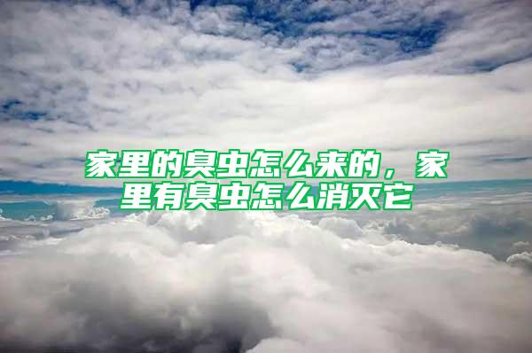 家里的臭蟲怎么來的，家里有臭蟲怎么消滅它