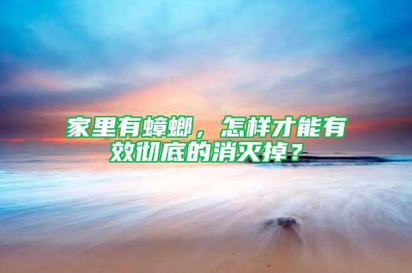 家里有蟑螂,怎樣才能有效徹底的消滅掉?