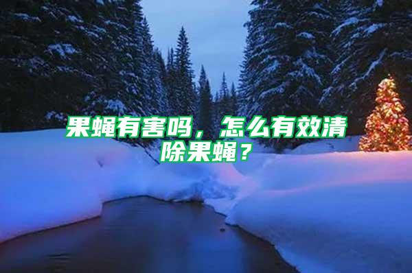 果蠅有害嗎,怎么有效清除果蠅?