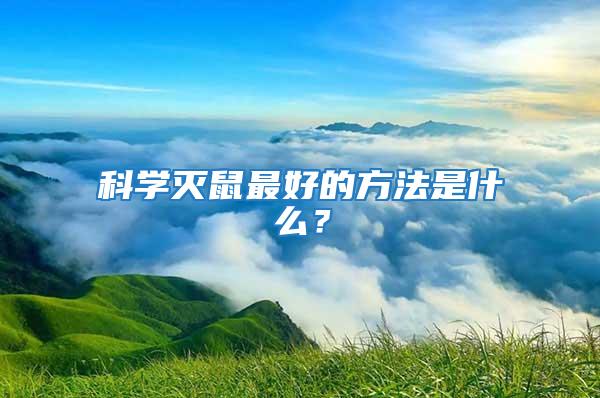 科學滅鼠最好的方法是什么？