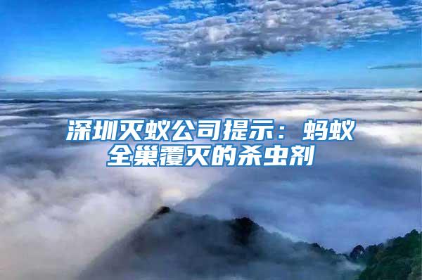 深圳滅蟻公司提示:螞蟻全巢覆滅的殺蟲劑