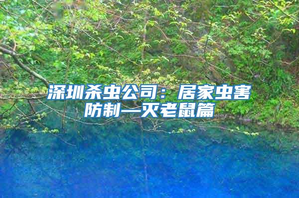 深圳殺蟲公司:居家蟲害防制—滅老鼠篇