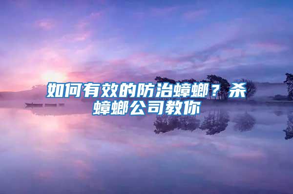 如何有效的防治蟑螂?殺蟑螂公司教你
