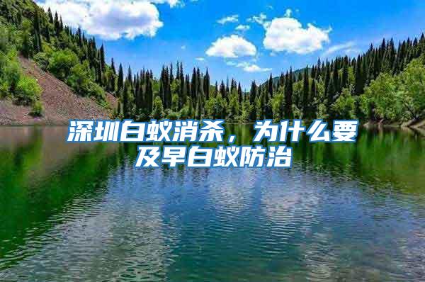 深圳白蟻消殺,為什么要及早白蟻防治